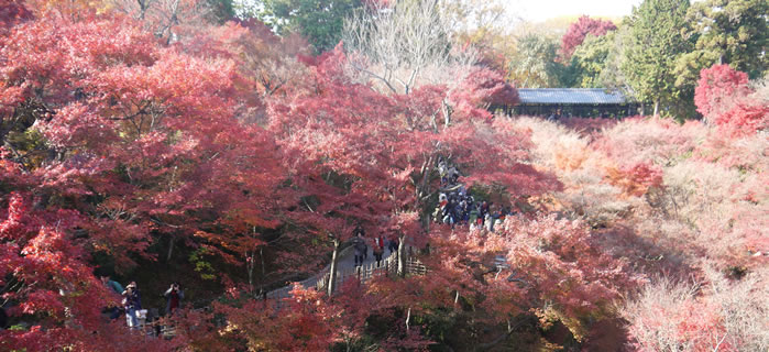 東福寺